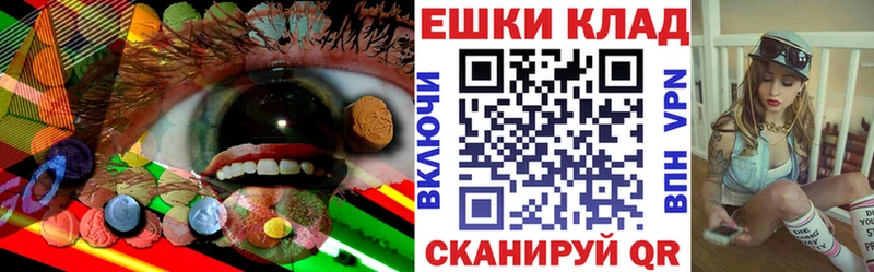 где продают   shop формула  Ecstasy Дубай  Белово 