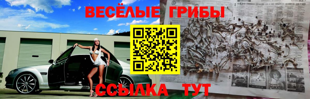 Псилоцибиновые грибы мухоморы Белово